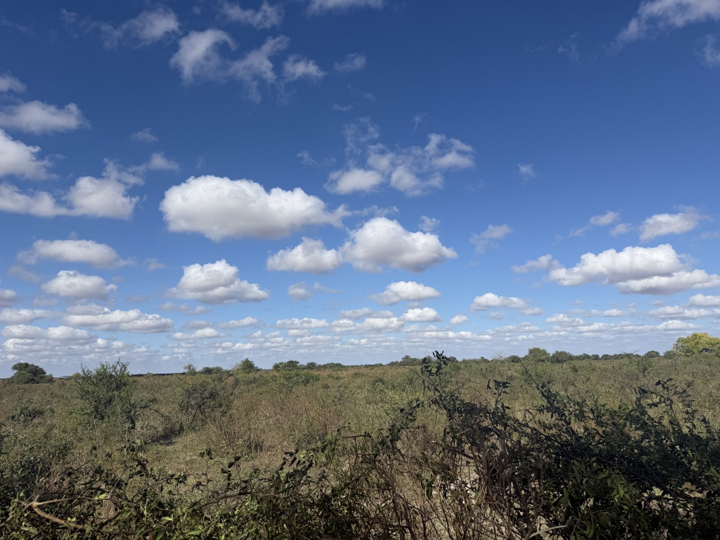 Open landscape representing perspective and forward movement