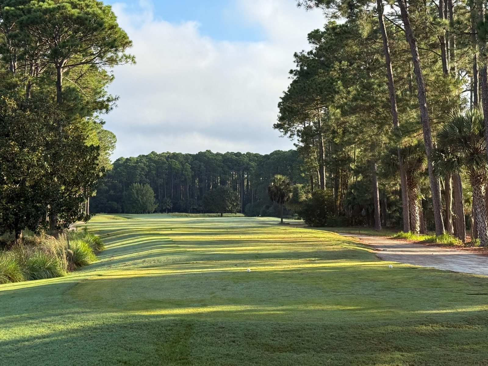 Golf course fairway in morning light